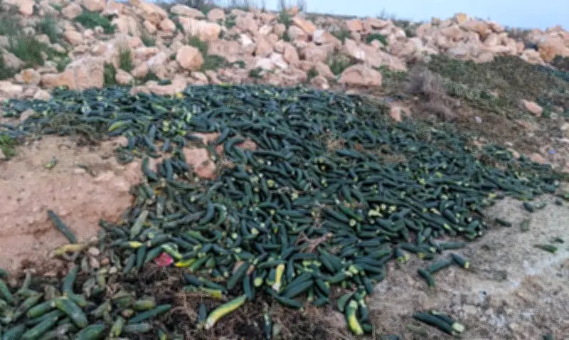 Espagne : 500 000 tonnes de récoltes gaspillées révèlent une crise agricole et hydrique