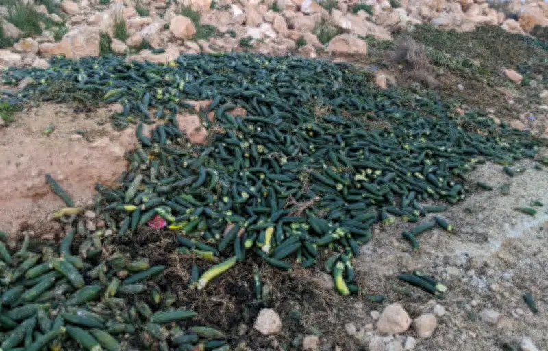 Espagne : le paradoxe du gaspillage alimentaire dans un pays en stress hydrique