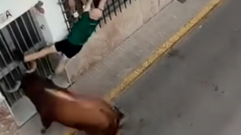 Espagne : un spectateur tué par un taureau lors d'une fête votive