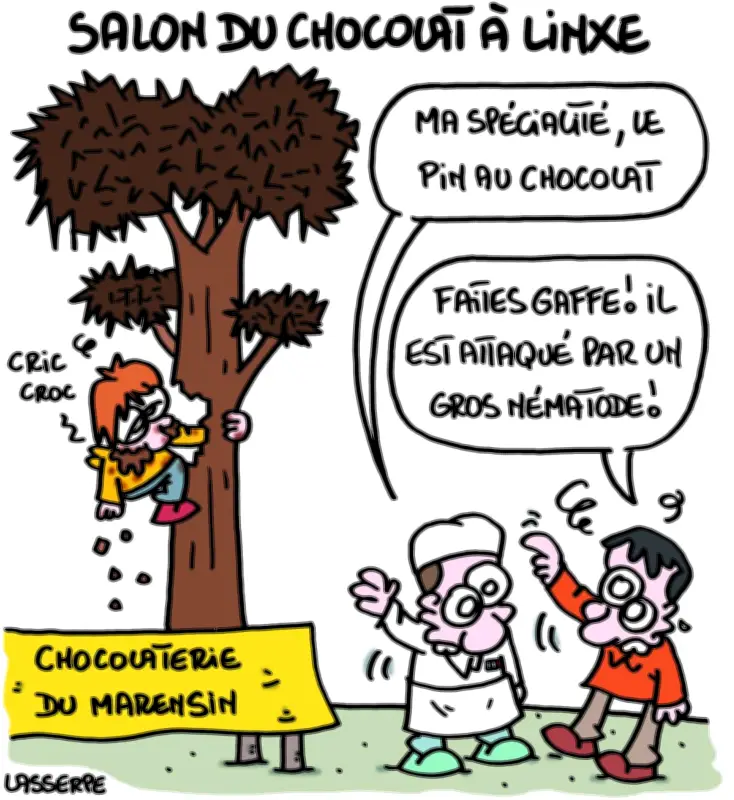 Eva Belin se tourne vers le privé, le RN cite Giscard, et le Seignanx ostracise Ondres