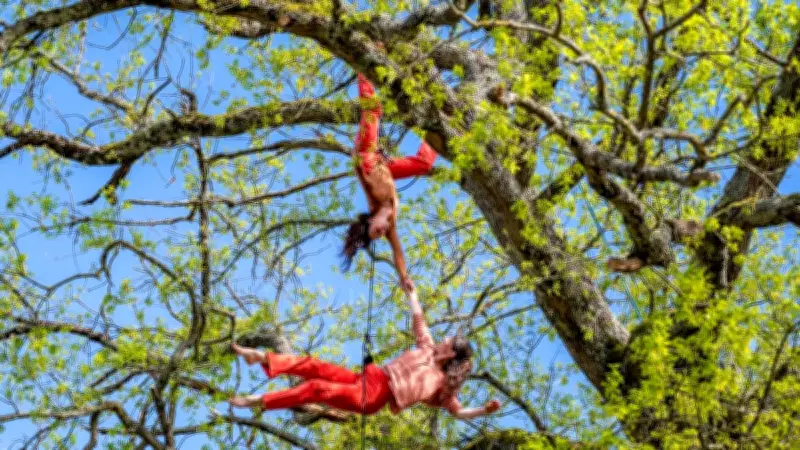 Ex Movere Dance Festival : Danse dans les Arbres et Ateliers à Réserver