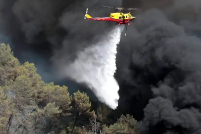 Exercices de Canadairs en mer sur la Côte d'Azur : des manœuvres d'entraînement pour la saison des feux