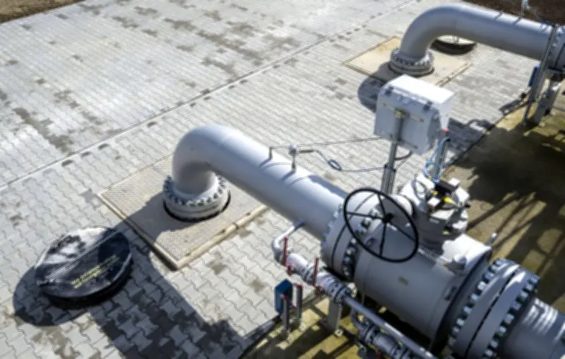 Explosifs découverts près du gazoduc Balkan Stream en Serbie, menace sur l'approvisionnement énergétique