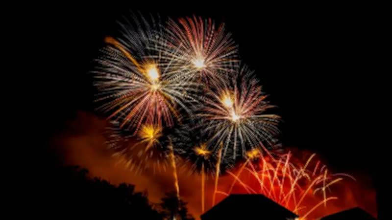Explosion d'une usine de feux d'artifice au Venezuela : 23 blessés