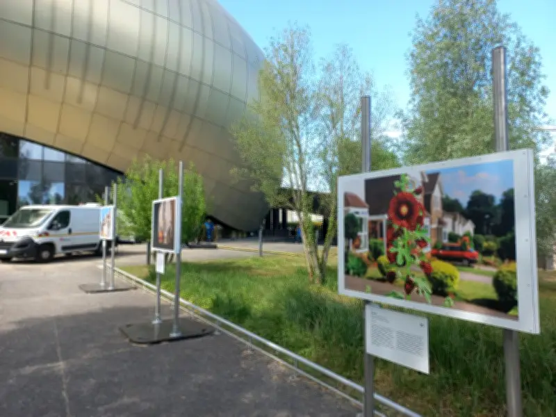 Expo Martin Parr gratuite à la Cité du vin de Bordeaux jusqu'au 20 septembre