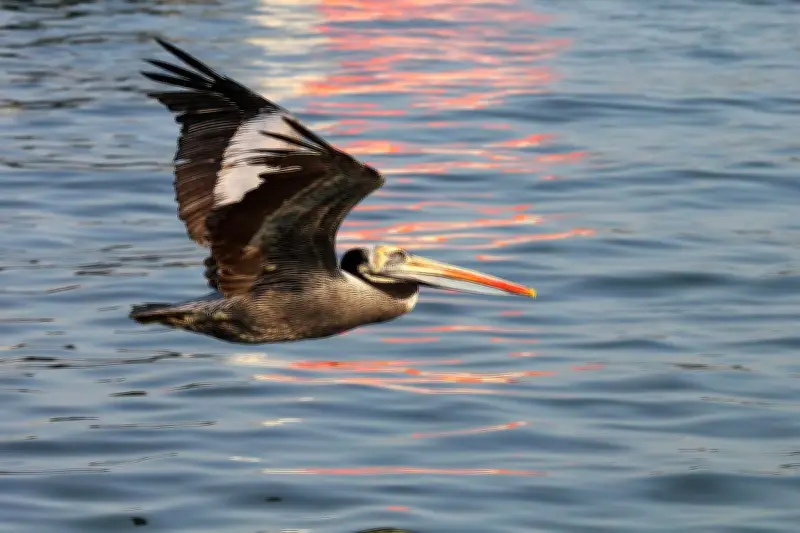 Exposition artistique à Saint-Palais : 300 œuvres à découvrir jusqu'au 19 avril