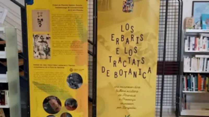 Exposition botanique Lenga viva à Magalas : promenade et atelier herbier pour enfants