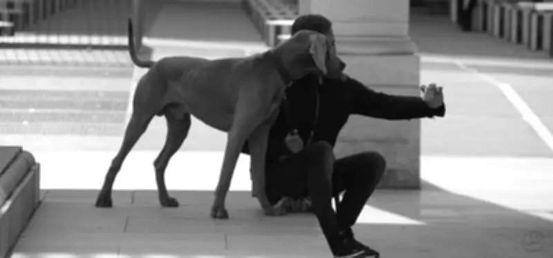 Exposition photo à Langon : Téléphone et moi, émoi interroge notre dépendance aux écrans