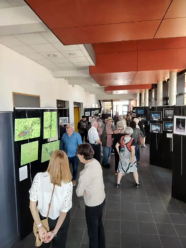 Exposition photo : un voyage visuel à l'espace Émile-Vignes