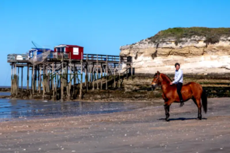 Exposition « Terre de cheval et terre de champions » à Royan du 1er au 10 mai