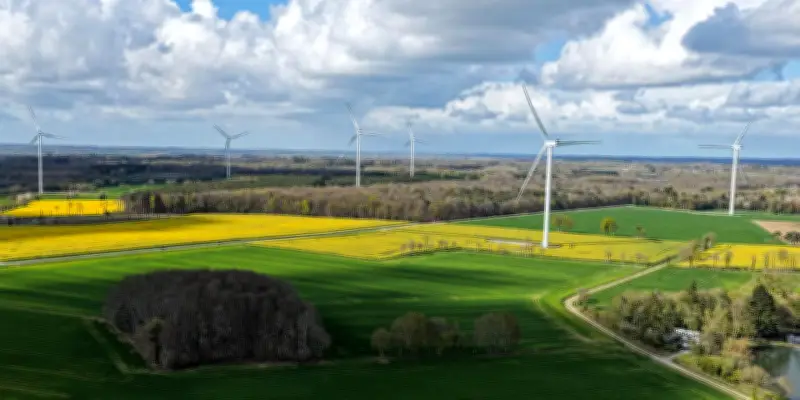 Face à la crise énergétique, colza et tournesol unissent leurs forces