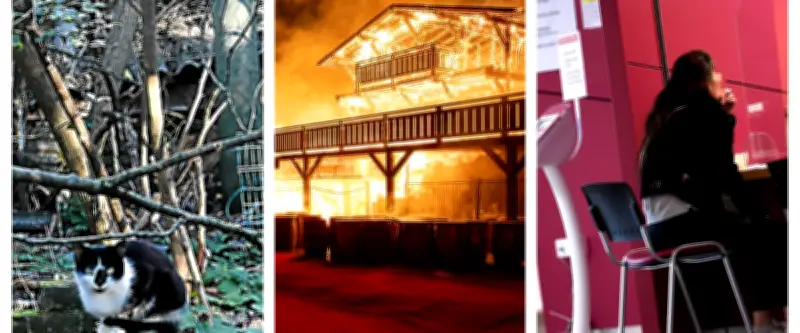 Faits divers en Occitanie : meurtre, incendie et maltraitance animale