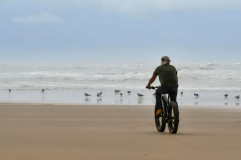Fatbikes en Charente-Maritime : une réglementation assouplie pour concilier écologie et tourisme