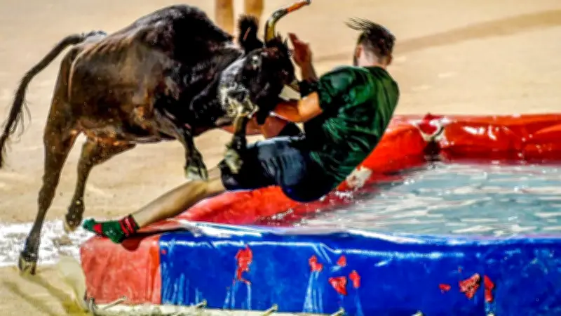 Feria d'Alès : le toro piscine interbandes, un jeu aquatique avec taureaux