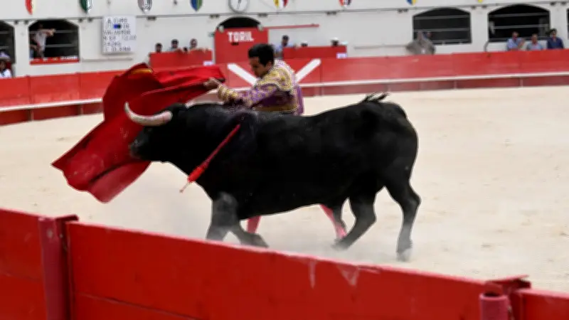 Feria d'Alès : nouveaux horaires pour la corrida et la novillada du 16 mai