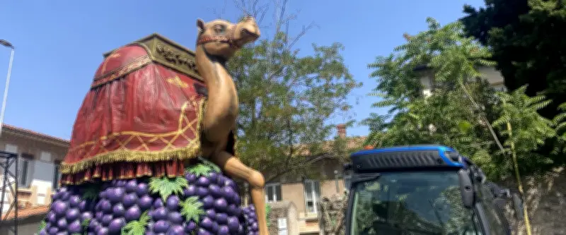 Feria de Béziers 2025 : montage spectaculaire des chars géants pour le défilé