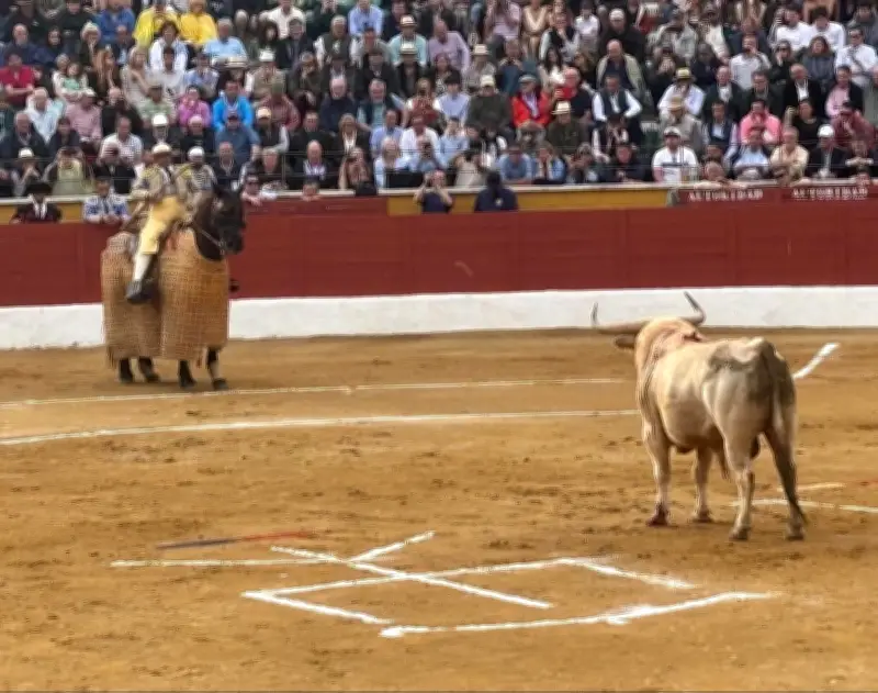 Feria de San Agustín : un retour aux sources de la corrida