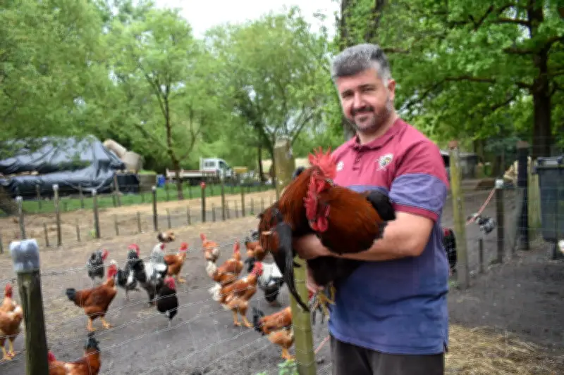 Ferme de la Hontique : œufs, poulets et lapins en plein air
