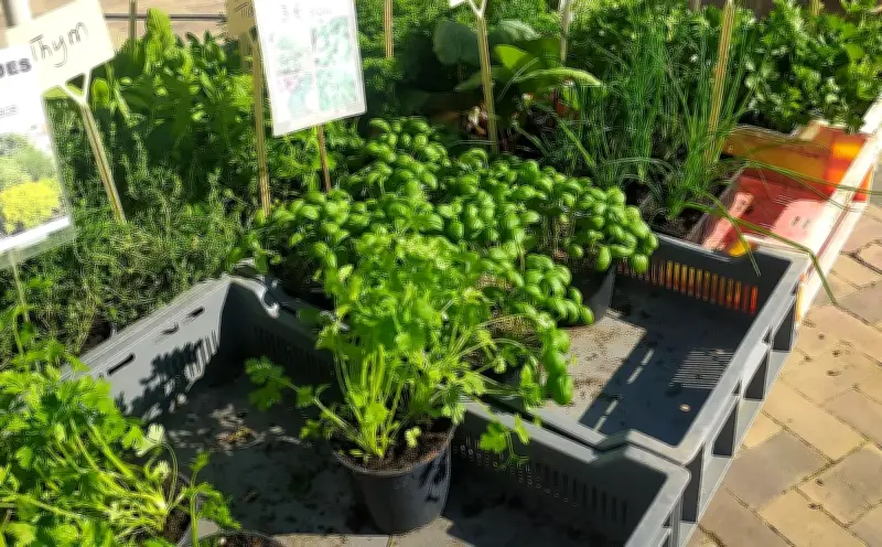 Festibio à Morcenx : une journée dédiée aux plantes et au bio le 18 avril