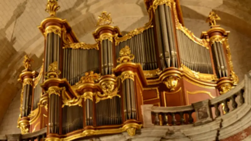Festival d'orgue à Saint-Pons-de-Thomières : un été musical avec le Micot