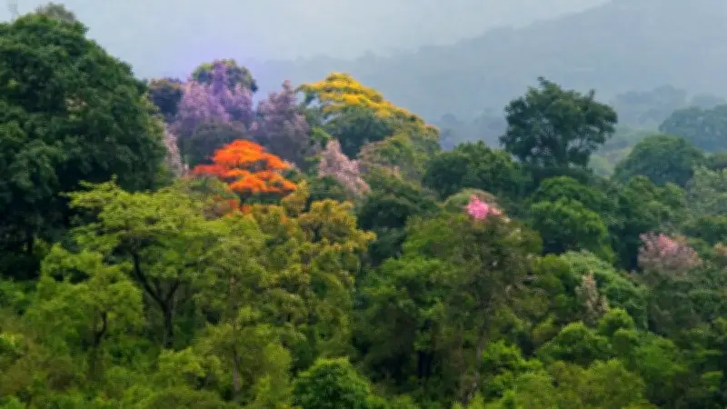 Festival Terres d'Ailleurs à Frontignan : les plantes au cœur de la vie et de la biodiversité