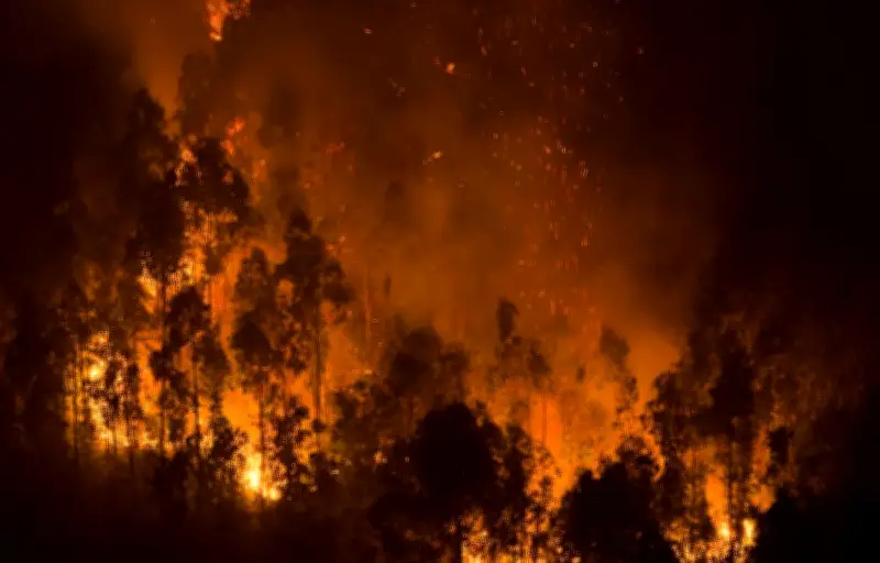 Feu de forêt en Lozère : 110 hectares ravagés à Altier, 152 pompiers mobilisés
