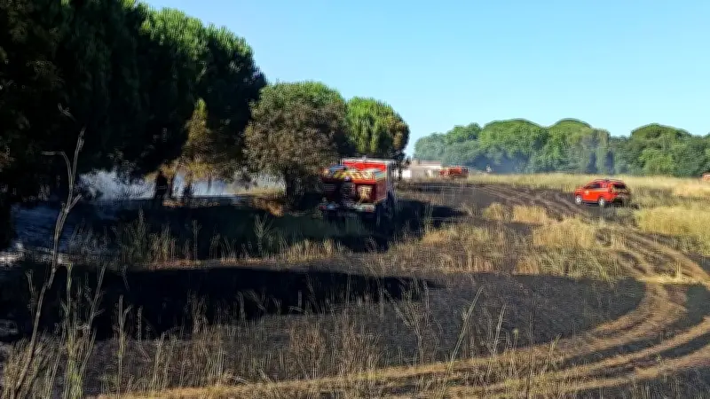 Feu de végétation au Crès : circulation perturbée sur la D613