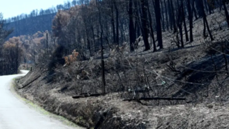 Feu des Corbières : un spécialiste de l'Inrae juge le sinistre inédit en France