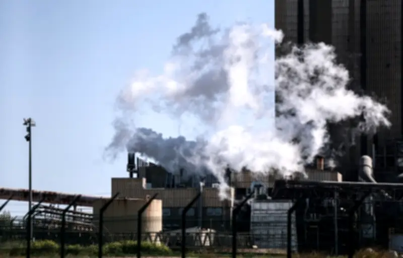 Fibre Excellence placée en redressement judiciaire avec six mois pour trouver un repreneur