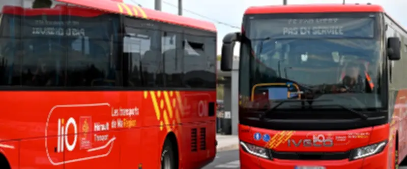 Fin de grève aux Courriers du Midi : retour à la normale lundi 13 octobre