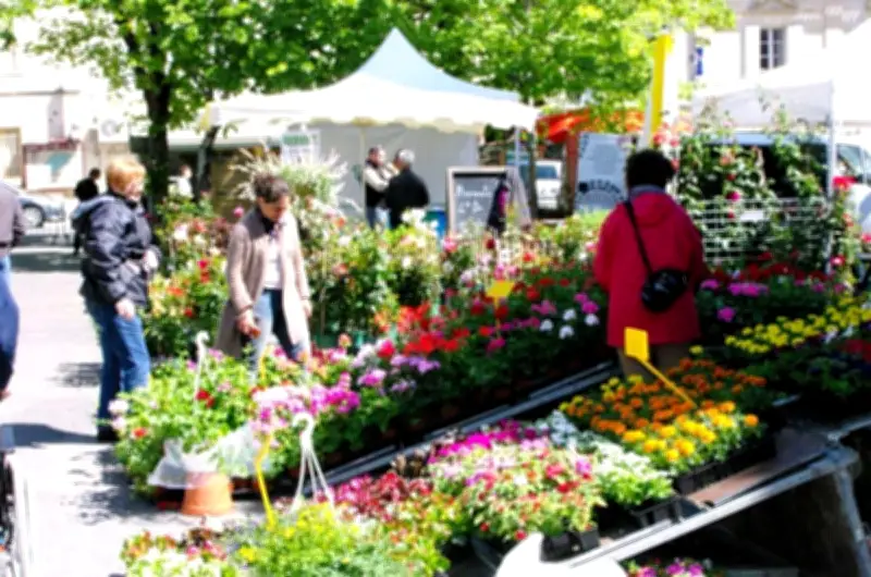 Floralies et marché artisanal à Saint-Médard-de-Guizières pour fêter le printemps