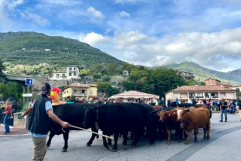 Foire agricole et artisanale de Breil-sur-Roya : un événement pour la transmission et la reconstruction