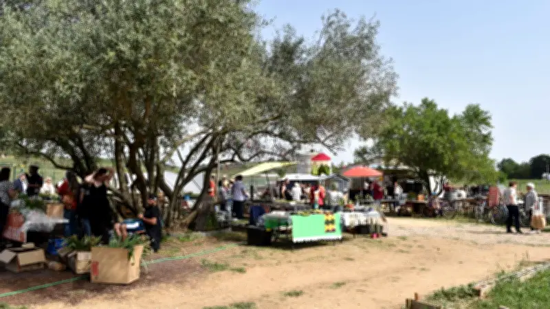 Foire aux grains aux Jardins partagés : succès d'une journée conviviale