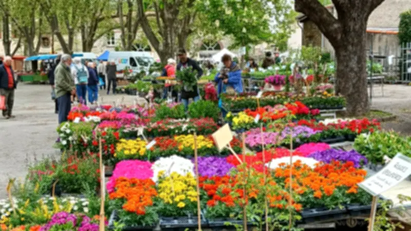 Foire aux plantes de Brissac : une explosion de couleurs et de saveurs locales