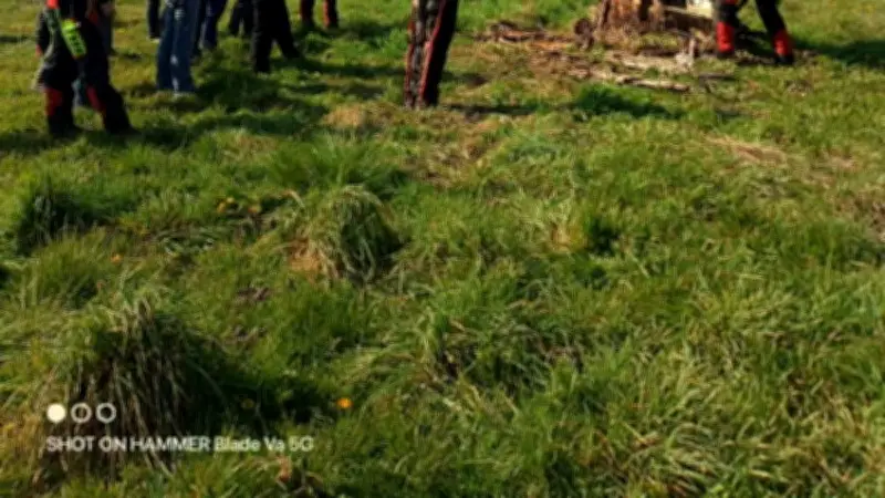 Formation tronçonneuse en sécurité : une initiative vitale pour les agriculteurs de l'Hérault