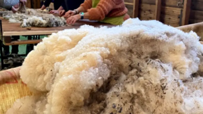 Formations sur la valorisation de la laine dans les Grands Causses