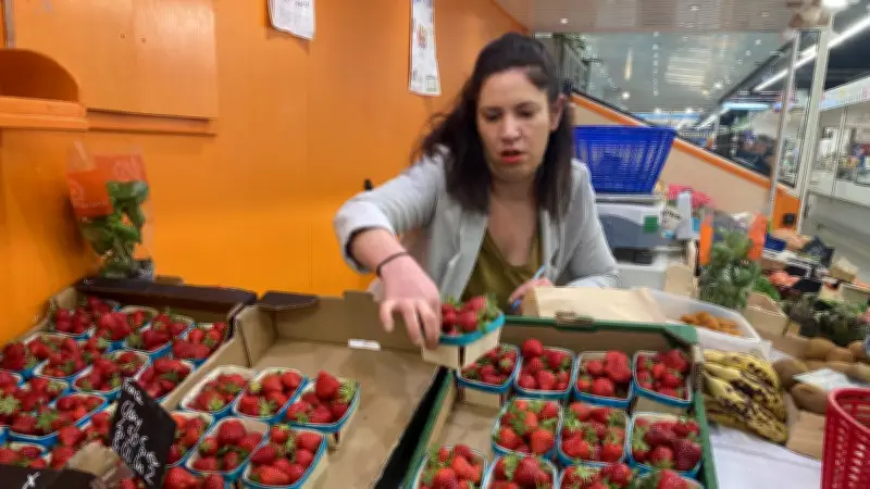 Fraises du Gard : la Dream détrône la Gariguette, les producteurs face aux défis