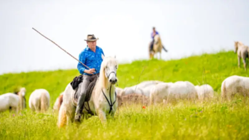 Frédéric Fourmaud, figure emblématique de la Camargue, s'est éteint à 67 ans