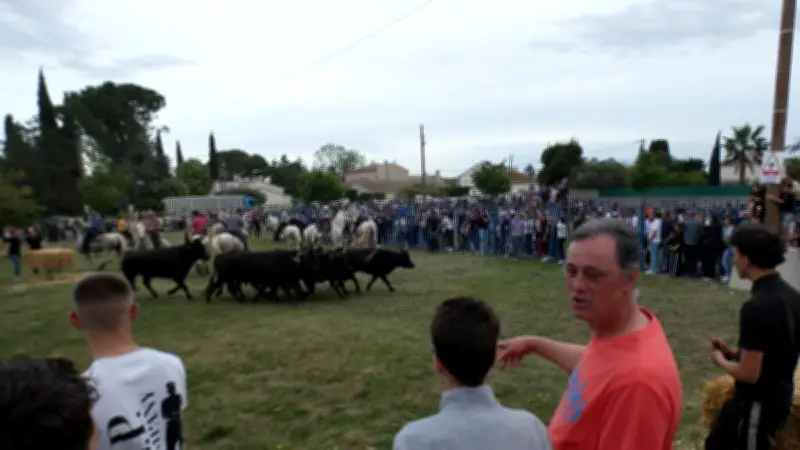 Féria du Muguet à Redessan : fête camarguaise et espagnole les 1er et 2 mai