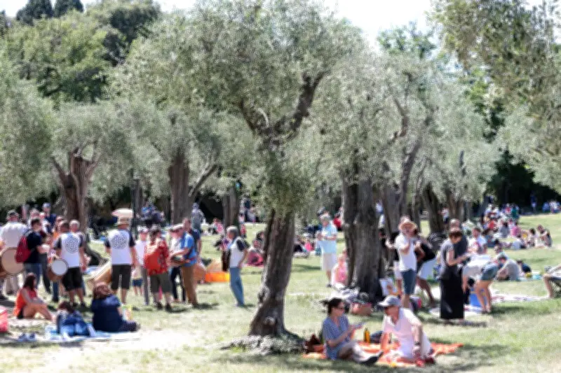 Fête des Mai à Nice : pourquoi il faut y assister en 2026