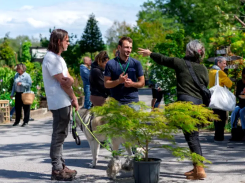 Fête des Plantes : 3e édition le 26 avril à Soorts-Angresse