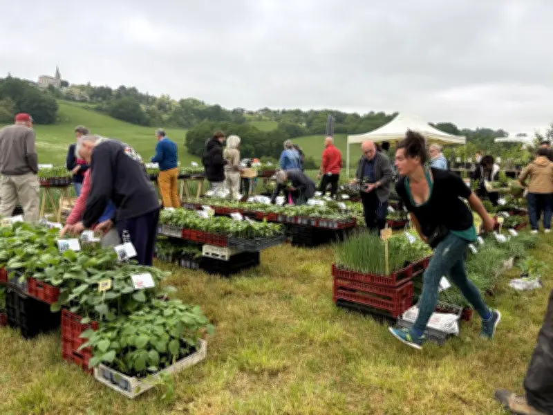 Fête des plantes réussie au Biau Germe : 31 exposants et ateliers variés