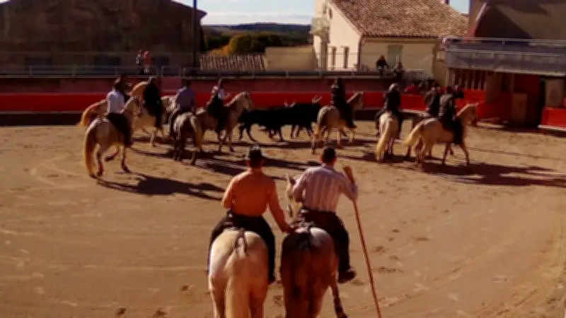 Fête du Printemps à Gallargues : 5 jours de traditions taurines