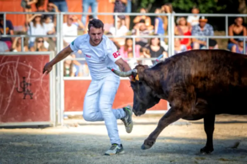 Fête du Printemps à Saint-Yaguen : Force Basque et Cocardes le 18 Avril