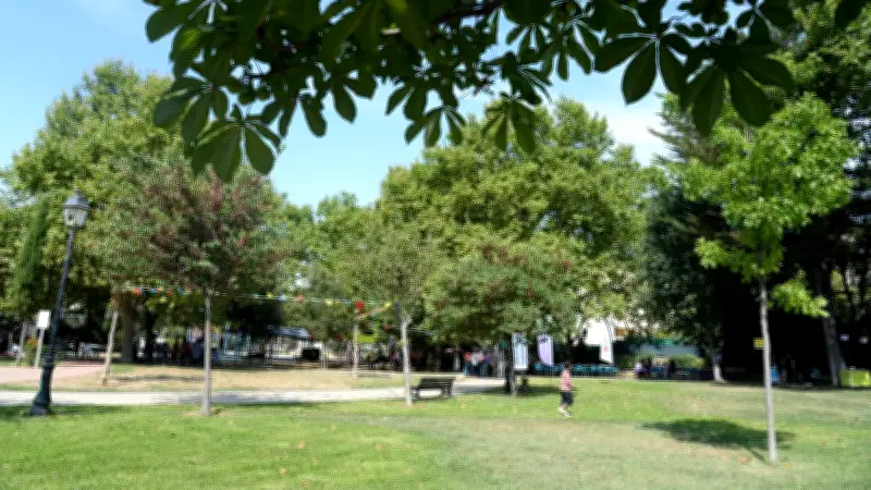 Fugueur nu interpellé à Montpellier : détention provisoire et expertise psychiatrique