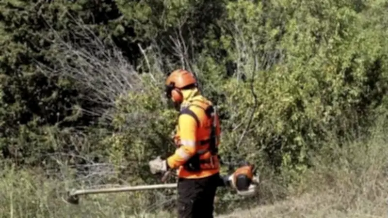 Gard : les obligations légales de débroussaillement à respecter avant l'été