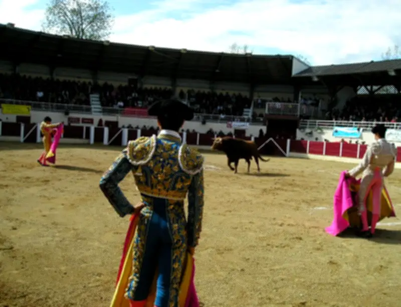 Garlin célèbre sa 24e Journée taurine de printemps avec le retour de l'élevage Pincha