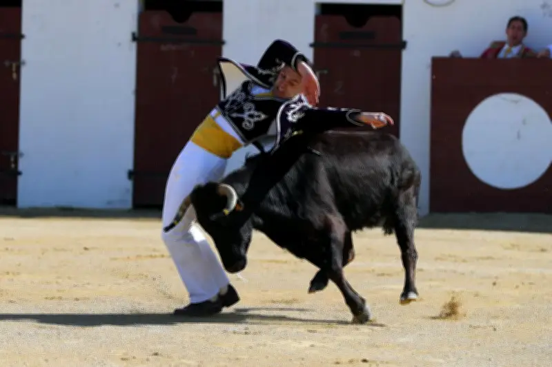 Gauthier Labeyrie remporte le Boléro d'argent et affronte les vaches sans corde