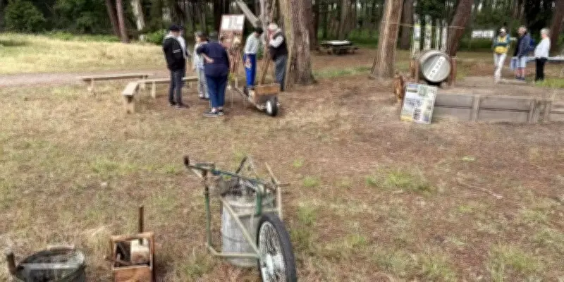 Gemmage en forêt : démonstrations gratuites dès avril avec nouveautés