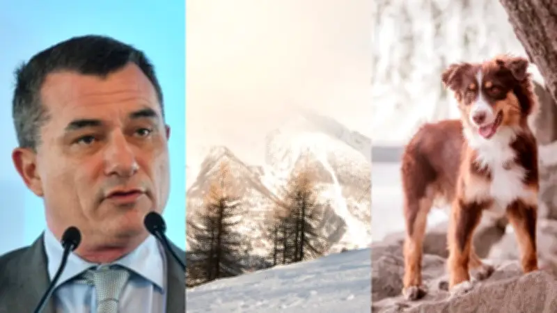 Gilles d'Ettore libéré, stations de ski catalanes en crise, berger australien en tête
